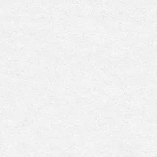 Керамогранит delacora Абсолют/ absolute Айс d12038m Белый 60x120