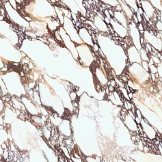 Керамогранит laminam Ай Натурали Калаката Виола Ай Натурали Бук Матч А 12 lamf0m0180_it разноцветный 162x324