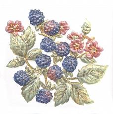 Керамическая плитка Декор Оранжерея Ежевика 9,9x9,9