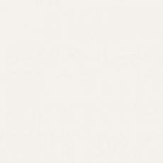 Керамогранит bianconero белый 60x60