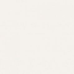 Villeroy Boch BiancoNero белый белый 