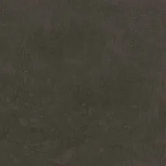 Керамогранит Про Фьюче коричневый обрезной dd202800r 30x60