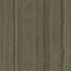 Керамогранит cha.adv.ele.Браун 160 ret 80x160