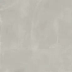 Керамогранит Италон Континуум Сильвер Рет 610010004107 серый 120x120