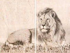 Шахтинская плитка Селлинг панно 02 бежевый 