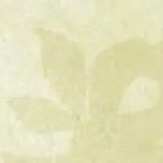 Керамогранит Сицилия/ sicilia Беж Бордюр Листья 7,2x45