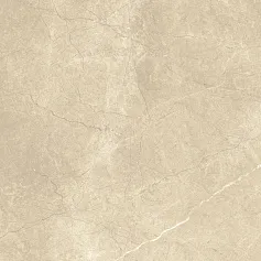 Керамогранит ШАР.ЭКС.АРКАДИА 60x120 РЕТ 60x120