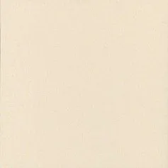 Керамогранит техногрес кс-5 60x60