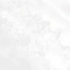 Керамическая плитка Плитка altacera Пальмира/ palmira light wt9pal00 Белый 24.9x50