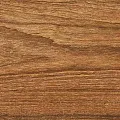 Teak
