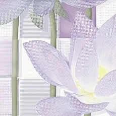 Керамическая плитка lotus 2 24,9x50