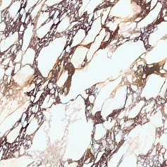 Керамогранит laminam Ай Натурали Калаката Виола Ай Натурали Бук Матч Б 12 lamf0m0181_it разноцветный 162x324