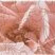 Керамическая плитка Бордюр Контарини Цветы обрезной 7,2x30