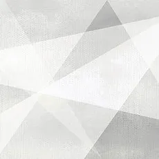 Керамическая плитка Шейп/ shape geometry Вайт 24,9x50