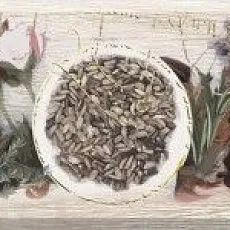 Керамическая плитка Либери/ liberi 15x40