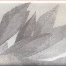 Керамогранит Декор Тортона 7,4x15