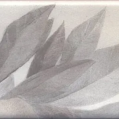 Керамогранит Декор Тортона 7,4x15