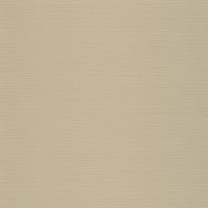 Керамогранит Ампато sr Олива 120x120