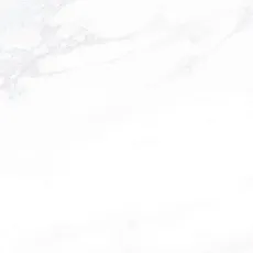 Керамогранит Пайер/ payer Элегантный 60x60