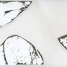 Керамическая плитка Бордюр Астория обрезной 5,5x25