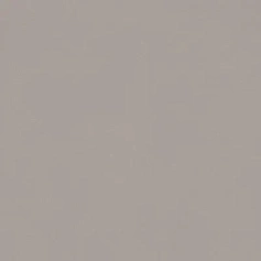 Керамогранит Италон 610015000147 Имэджин Грэй/ imagine grey lev 60x60