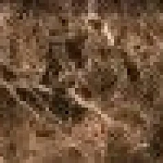 Керамогранит Этерна/ eterna Браун 7,6x60