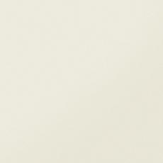 Керамогранит Моноколор mr Белый 60x60