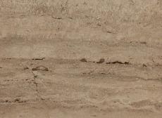 Керамическая плитка firenze floor base brown glossy 60x60