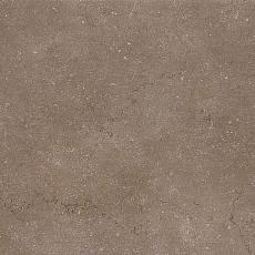 Керамогранит Дайсен коричневый обрезной sg610500r 60x60