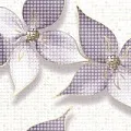 Керамическая плитка Николь/ nicole 24,9x50