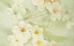 Шахтинская плитка Сакура зеленый декор 01 разноцветный 