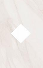 Керамическая плитка декор павловск id56 25x40