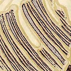 Керамическая плитка Тоскана 1 бордюр 7,4x36