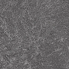 Ступени Подступенок kerama marazzi dd600620r\5 Про Стоун антрацит 10.7x60