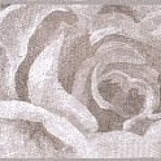 Керамическая плитка Бордюр Александрия серый 8270\3 5,7x30