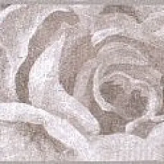 Керамическая плитка Бордюр Александрия серый 8270\3 5,7x30