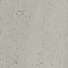 Ступени Подступенок kerama marazzi sg850990r\6 Сан-Марко серый светлый матовый обрезной 10.7x80