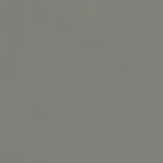 Керамогранит Италон Форум/ forum Слим Айрон 610010004139 Серый 80x80