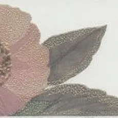 Керамогранит Бордюр Ломбардиа 5,4x25