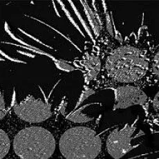 Керамическая плитка Дива/ diva 24,9x50