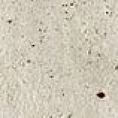 Керамогранит Скайлайн/ skyline Сноу Плинтус 7,2x60