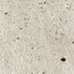 Керамогранит Скайлайн/ skyline Сноу Плинтус 7,2x60