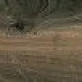 Керамогранит Вуд Блок Браун kor00088 23x179,8