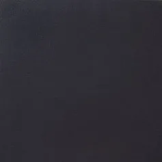 Керамогранит la Дива черный тюльпан 45x45