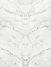 Керамическая плитка Панно kerama marazzi sg071602r\p Капрая белый лаппатированный (из 2ч. 120x320) 240x320 240x320