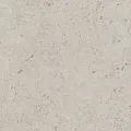 Керамогранит Керама Марацци dd641200r Про Лаймстоун бежевый натуральный обрезной 60x60