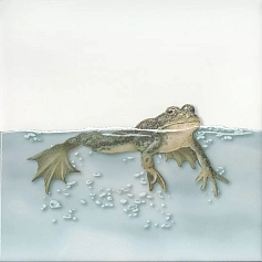 Керамическая плитка Декор kerama marazzi vt\a472\5009 Чудо-озеро 5 20x20