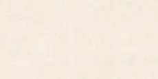 Керамогранит Амстердам бежевый 57х114