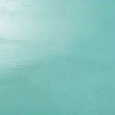 Керамическая плитка dw.turquoise 80 40x80