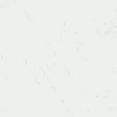 Керамогранит kerama marazzi sg453520r Борсари белый обрезной 50.2x50.2